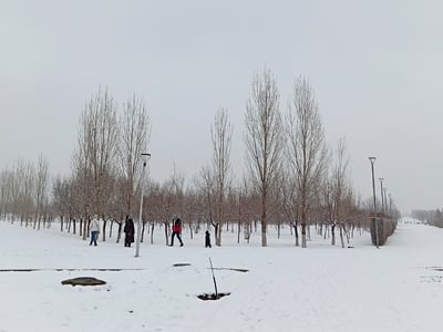 Αχαΐα - Αιτωλοακαρνανία: Σοβαρά προβλήμα...