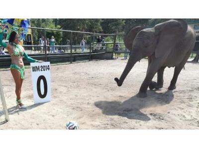 ΔΕΙΤΕ τί προβλέπει για το Μουντιάλ ο Νέλ...