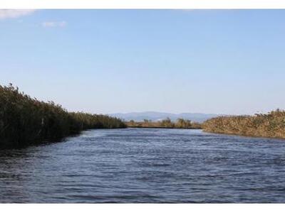 Προς εκτόνωση το φαινόμενο της ανόδου τη...