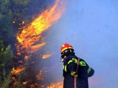 Εκκενώθηκε χωριό στη Μάνη λόγω πυρκαγιάς...