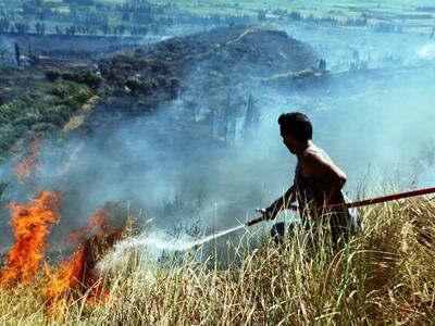Αιτωλοακαρνανία: Πρόλαβαν τη φωτιά στη Γραμματικού