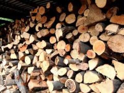 Έκλεψαν 20 τόνους ξύλα σε χωριό του Αιγίου