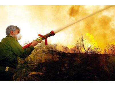 Πυρκαγιά και στην Άμφισσα