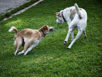 Πάτρα: Αντιδράσεις για τη δημιουργία δημ...