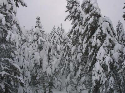 O χιονιάς στην ορεινή Αχαΐα - ΔΕΙΤΕ ΒΙΝΤΕΟ