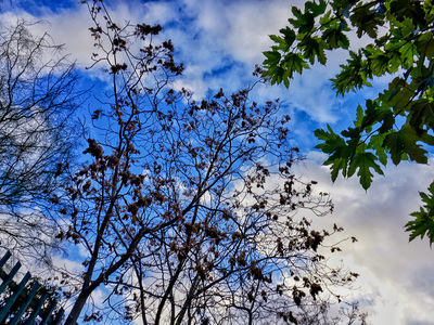 Καιρός: Ζεστό κύμα από αύριο – Πάνω από ...