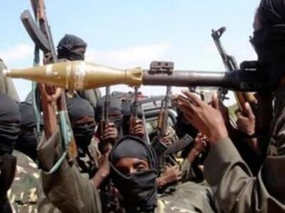 Καμερούν: Νεκροί 116 Νιγηριανοί αντάρτες...