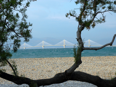 Ο Δήμος Πατρέων τιμά τη φετινή Παγκόσμια...