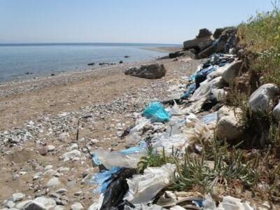 Αχαΐα: Κίνδυνος για τη δημόσια υγεία - Η...