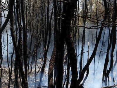 Υπό έλεγχο τέθηκαν τρεις πυρκαγιές στην Κέρκυρα