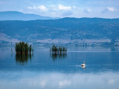 Οικολογική καταστροφή στη λίμνη Κορώνεια – ΒΙΝΤΕΟ