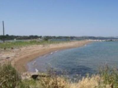 Δυτική Αχαϊα: Ο Δήμος καλεί σε εθελοντικ...