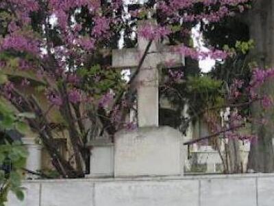 Πάτρα: Στο Πειθαρχικό τρείς υπάλληλοι γι...