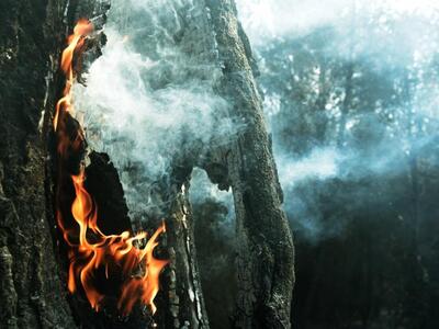 Πολύ υψηλός ο κίνδυνος πυρκαγιάς και σήμ...