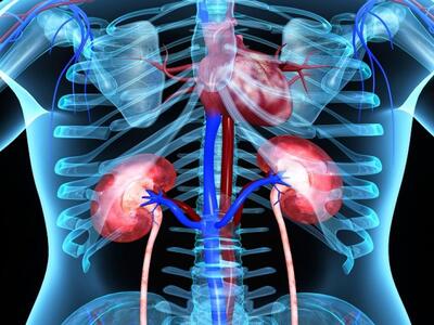 Η δυσκοιλιότητα αυξάνει τον κίνδυνο για ...