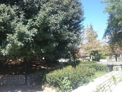 Πλατεία Ελευθερίας.