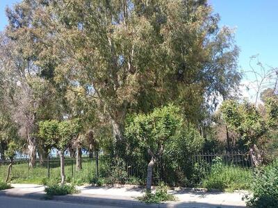 Πάρκο Αγίου Ανδρέα.