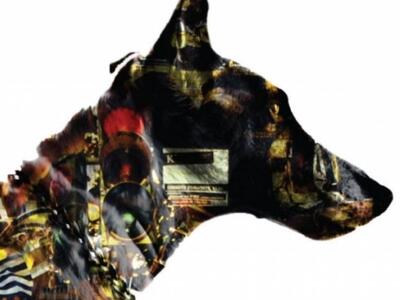 "Το Σκυλί του Ωρίωνα" του Τ. Τ...