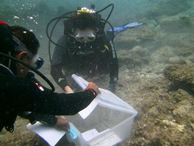 Σάμος: Υποβρύχιες… εκλογές - «Θριαμβευτή...