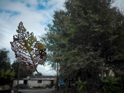 Καιρός: «Μύρισε» φθινόπωρο – Συννεφιά κα...