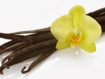 Κάντε το σπίτι σας να μοσχοβολάει! 