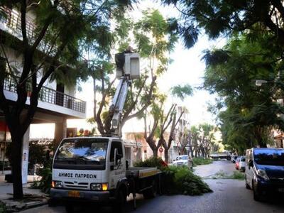 Δήμος Πατρέων: Κλαδεύτηκαν δέντρα σε σχο...