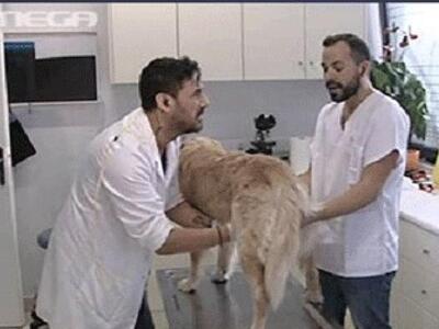 Έξαλλοι και οι φιλόζωοι με το πρωινό του...