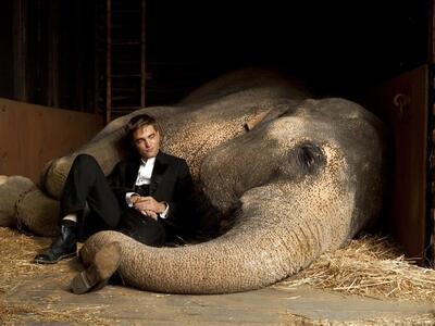 Τι παίζουν τα σινεμά της Πάτρας