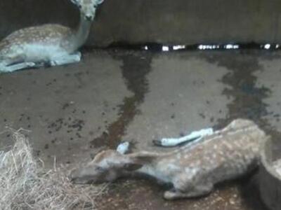 Αύριο πιθανότατα η εκδίκαση της υπόθεσης...