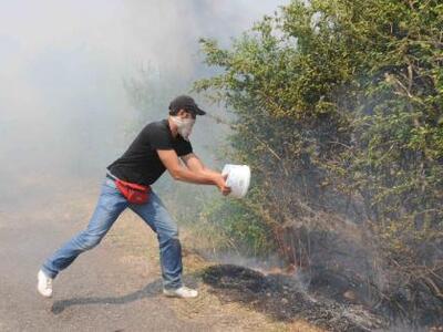 Υπό έλεγχο το πύρινο μέτωπο μεταξύ Φθιώτ...