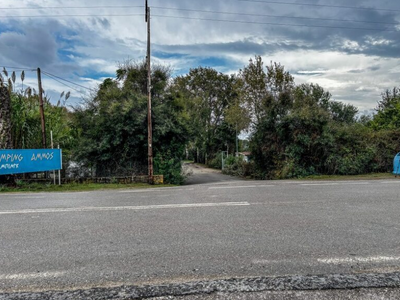 Φοινικούντα: Προφυλακιστέος ο 30χρονος γ...