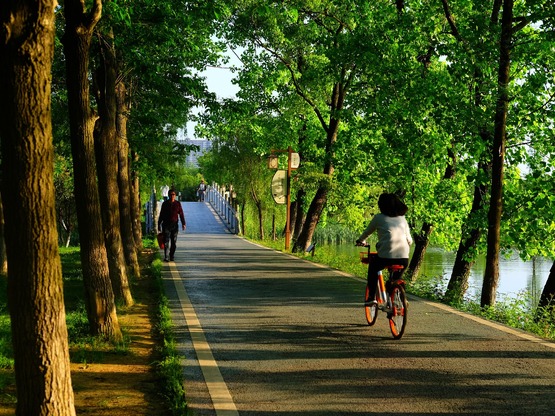 Περπάτημα ή ποδηλασία; Τα οφέλη σε αντοχ...