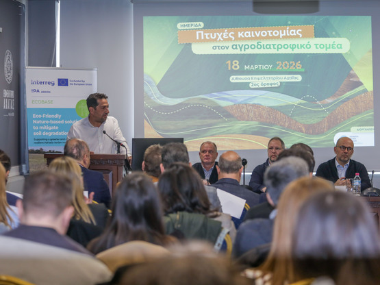 Πάτρα: Πραγματοποιήθηκε η ημερίδα για τη...