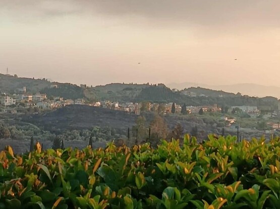 Η φλεγόμενη Πάτρα έγινε θέμα στους New Υork Times