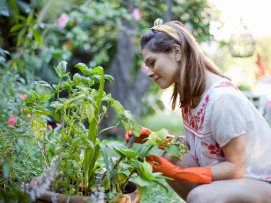 Εννέα πράγματα που μπορείτε να κάνετε με...