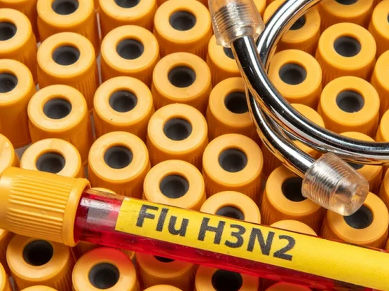 Ο ιός της γρίπης H3N2 εξαπλώνεται ταχύτε...