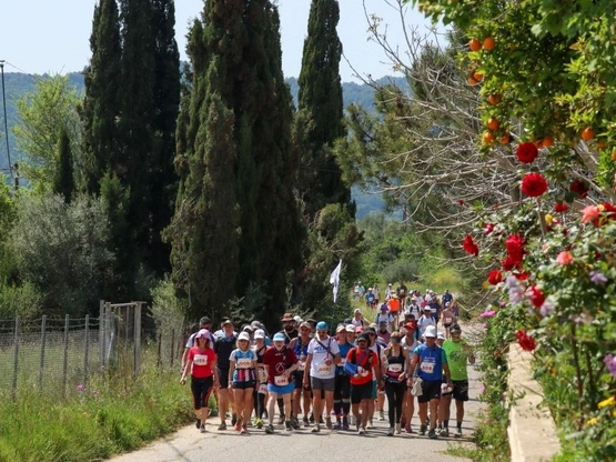 Δρόμος Εκεχειρίας 2026: 50 χλμ ημιορεινή...