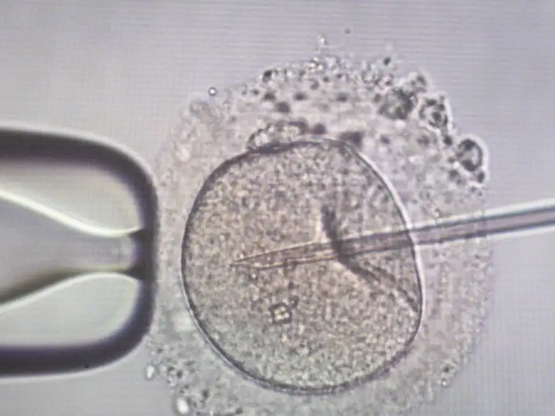 Ανησυχία για 11 οικογένειες στην Ελλάδα ...