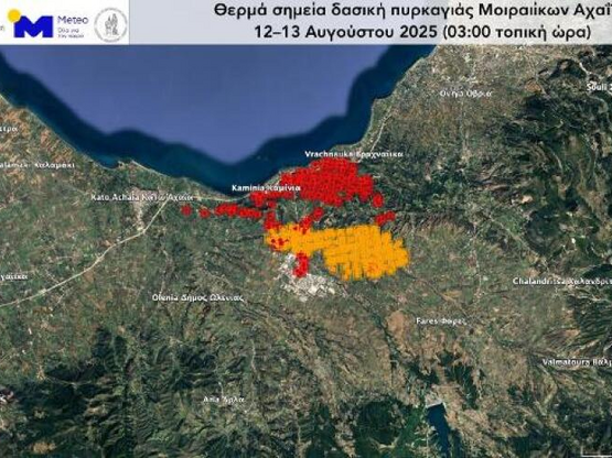 Αχαΐα: Σχεδόν 22 χιλιάδες στρέμματα έχου...