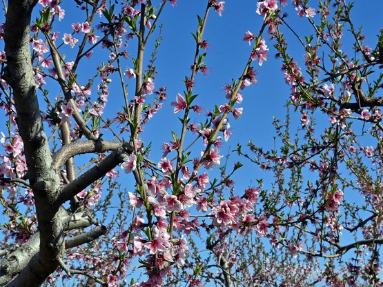 Πώς θα είναι ο καιρός τη Μεγάλη Εβδομάδα...