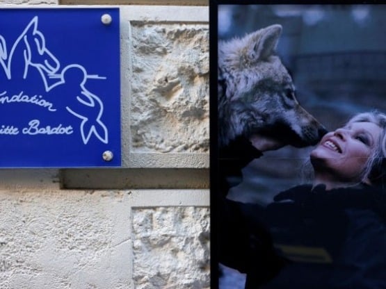 Μπριζίτ Μπαρντό: Αυτήν την ώρα το τελευτ...