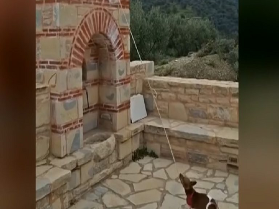 Κρήτη: Σκύλος χτυπάει την…καμπάνα εκκλησίας