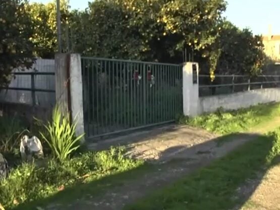 Ναύπακτος: Νέα στοιχεία για το θάνατο τω...