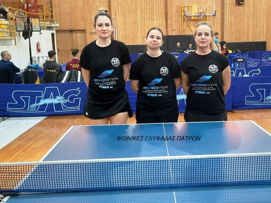 Βήμα παραμονής στην Α2 γυναικών οι Φοίνι...