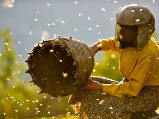 Με επιτυχία πραγματοποιήθηκε το Φεστιβάλ...