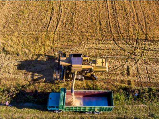 Συμφωνία Mercosur: Πώς θα αλλάξουν οι τι...