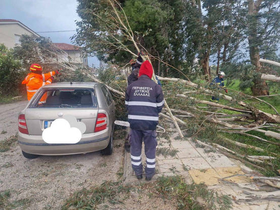 Πάτρα: Πτώσεις δέντρων και αιωρούμενα αν...