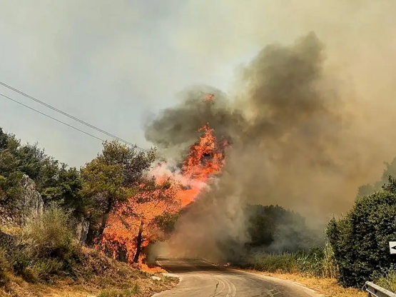 Φωτιές σε Αχαΐα, Πρέβεζα, Χίο και Ζάκυνθ...