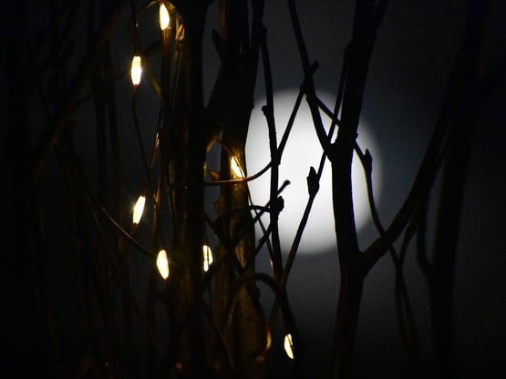 Φεγγάρι του Χιονιού: Πότε κορυφώνεται η ...