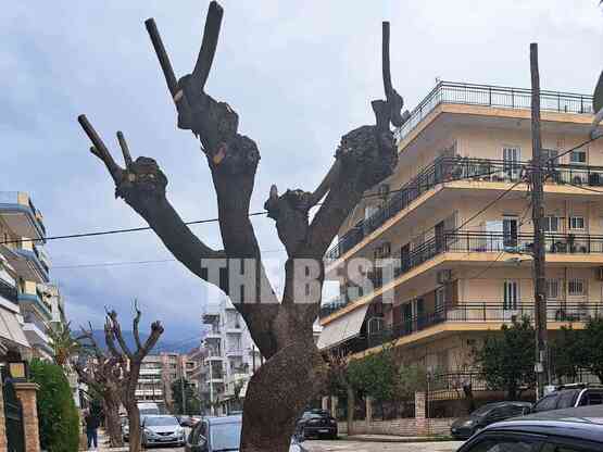 Πάτρα: Αυτή είναι η οδός Καζαντζάκη- Πρι...